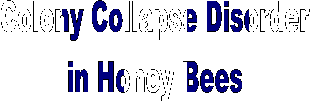 Colony Collapse Disorder
    in Honeybees