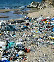 pounds of trash