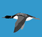 Loon