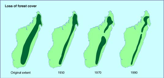 Figure 3. Deforestation